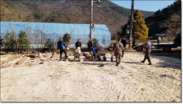 경남장작, 참나무장작, 표고목, 장작배달,장작,장작 1 톤 가격,장작 판매,참나무장작,참나무장작 1톤,캠핑용 장작,캠핑장작,장작판매,화목난로장작,참나무장작,미니장작,숯참나무장작파는곳,캠핑용장작,화목보일러, 나무보일러, 가정용화목보일러, 화목난로, 가정용난로, 1루베란, 땔감용 나무, 땔감용 장작,땔감 나무 판매,땔감나무 파는 곳,참나무장작가격,참나무장작파는곳, 땔감사이트,장작판매,참나무장작가격,참나무장작판매,참나무장작 파는곳, 부산장작, 김해장작, 거제도장작, 통영장작, 함안장작, 진주장작, 캠핑장 장작, 캠핑용품점 장작, 경남 장작 판매하는 곳