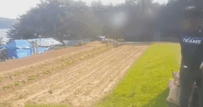 bf0636fb1c4e6b9f5e33630c86698934_1569832895_4289.gif